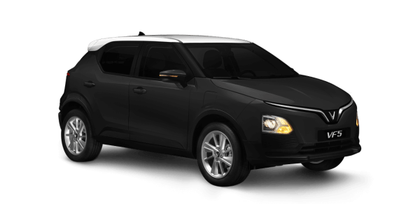 Brahminy White - Jet Black