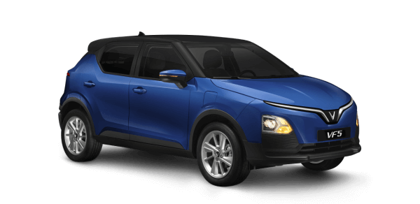 Jet black - Vinfast blue