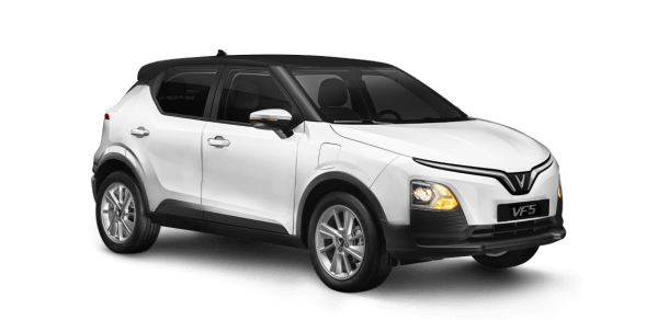 Braminy White - Vinfast Blue